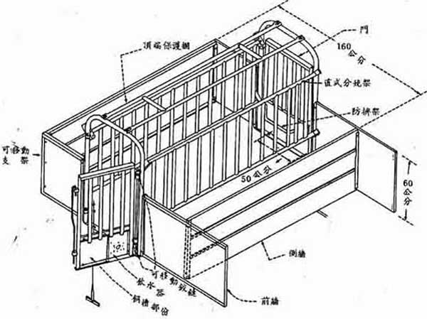 母豬養(yǎng)殖