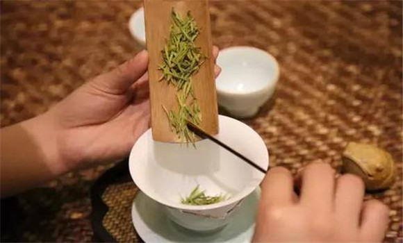 安吉白茶的沖泡方法