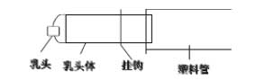 獺兔的養(yǎng)殖技術