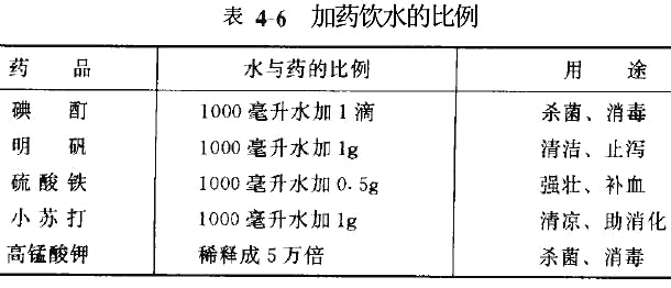 肉鴿管理技術(shù)