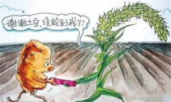 解決土壤連作障礙及次生鹽漬化的對(duì)策