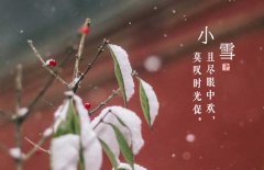 小雪節(jié)氣是什么意思，小雪節(jié)氣吃什么食品？