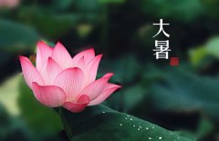 大暑是幾月幾日，大暑的節(jié)日民俗的哪些？