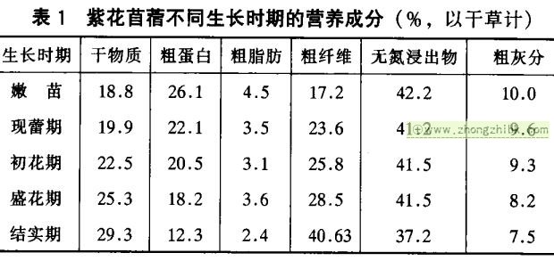 紫花苜蓿的營(yíng)養(yǎng)價(jià)值