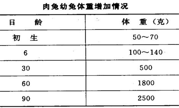 家兔的生長發(fā)育