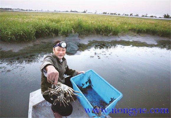 水源充足、水質(zhì)清新無污染