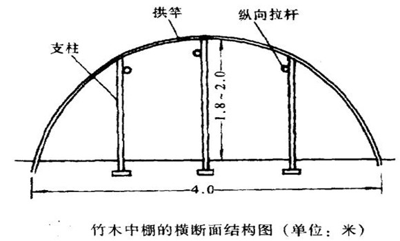 大棚蔬菜種植技術(shù)