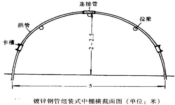 塑料中棚加外覆蓋能明顯使蔬菜早熟，效益高