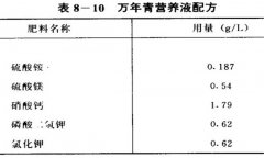 萬年青水培方法介紹