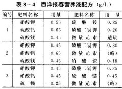 西洋報(bào)春無土栽培技術(shù)