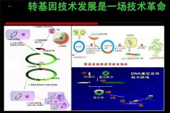 轉基因技術的原理是什么,在農(nóng)業(yè)上的應用有哪些