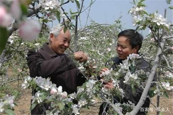 狠抓保花保果