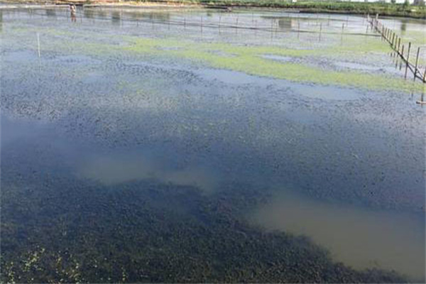 增加溶氧，促進(jìn)有機(jī)物氧化分解