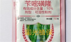 芐嘧磺隆的作用機(jī)制、使用方法與注意事項