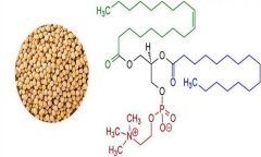 大豆異黃酮對人體有什么好處 什么食物含量多？