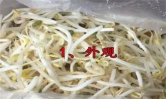 如何挑選豆芽？有根豆芽與無根豆芽有什么區(qū)別