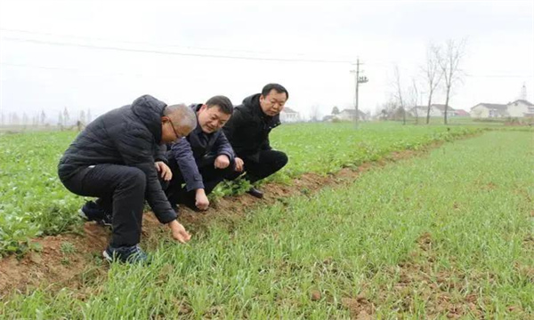 農(nóng)作物安全生產(chǎn)管理技術