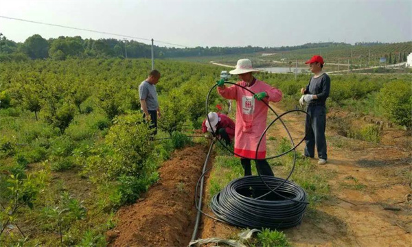 滴灌施肥操作方法